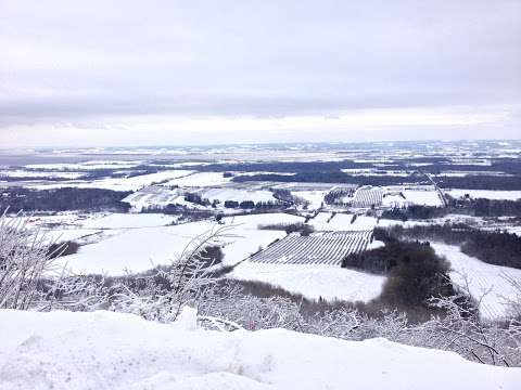 Blomidon Look-Off